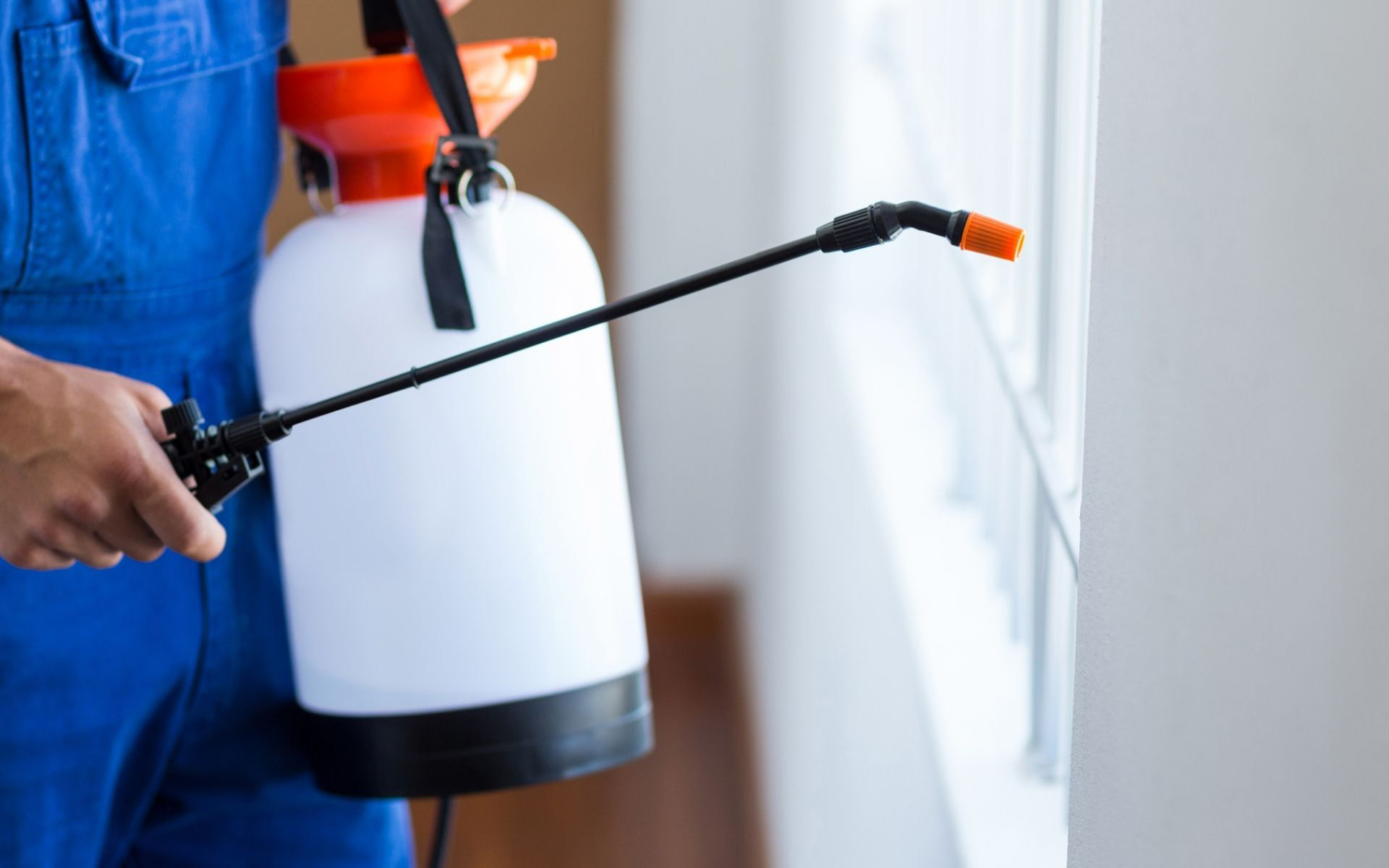 How Often Should You Book Residential Pest Control?