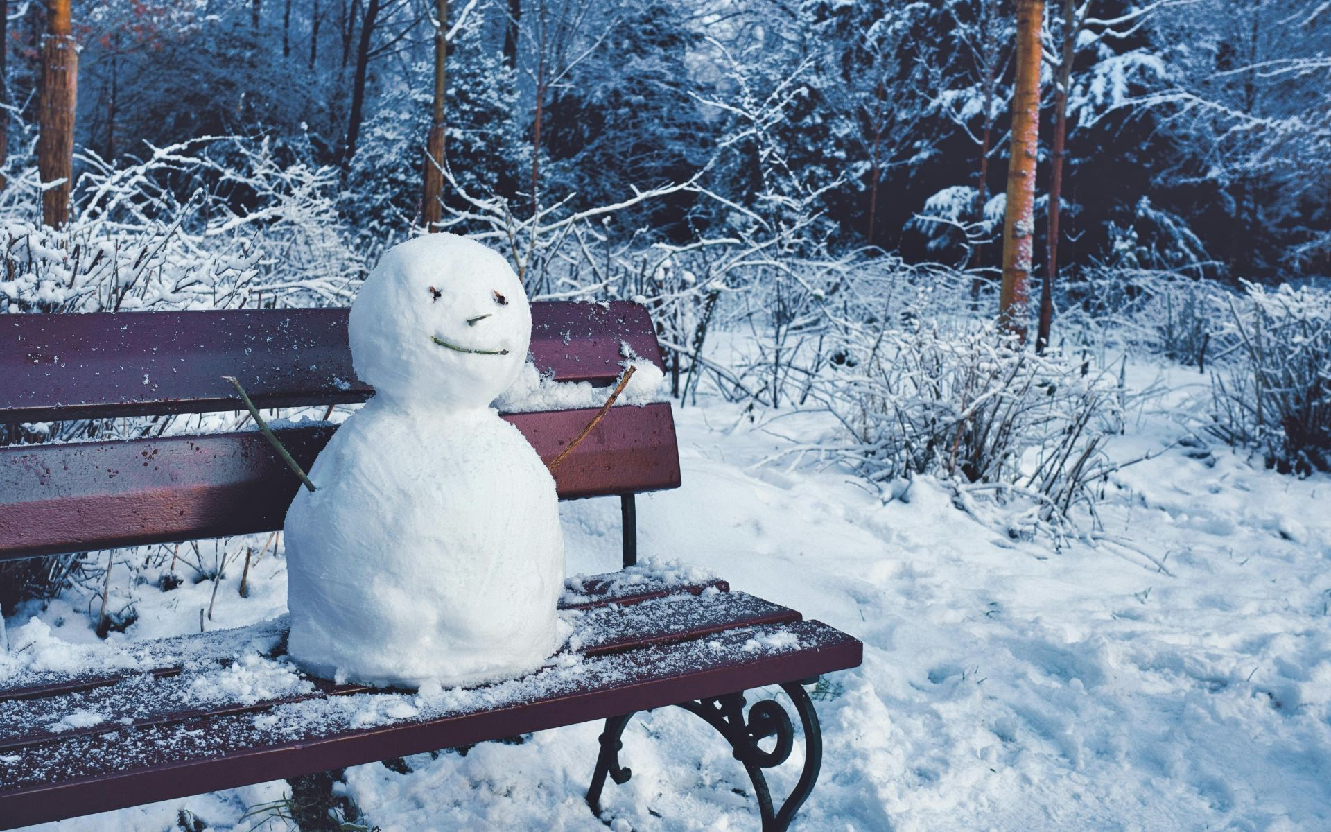 What Businesses Should Check Before Winter Pest Problems Start